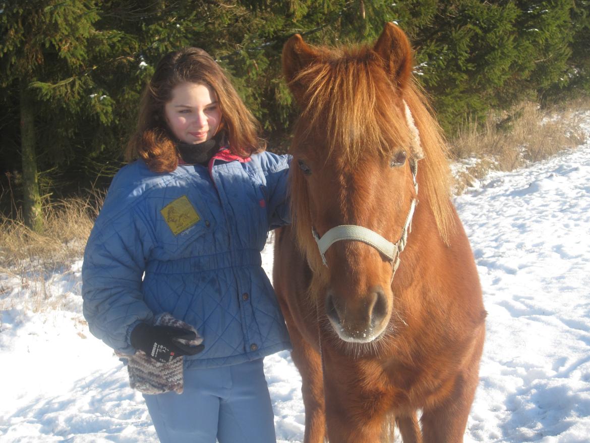 Anden særlig race Molly (SOLGT) <3 - Jeg vil gå hvor hen du ville bare jeg var sammen med dig<3 billede 5