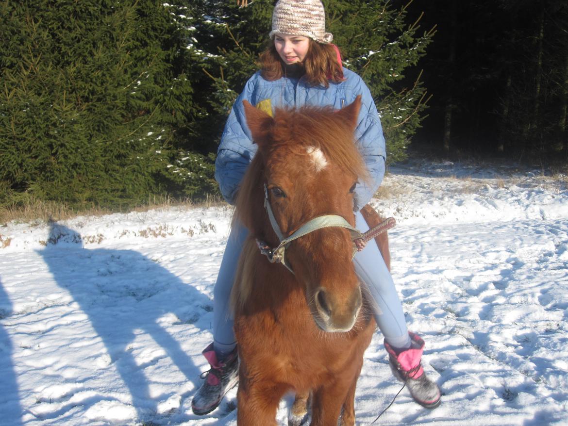 Anden særlig race Molly (SOLGT) <3 - Når jeg er nede kan jeg bare gå ud til dig så ordner alt sig!<3 billede 7