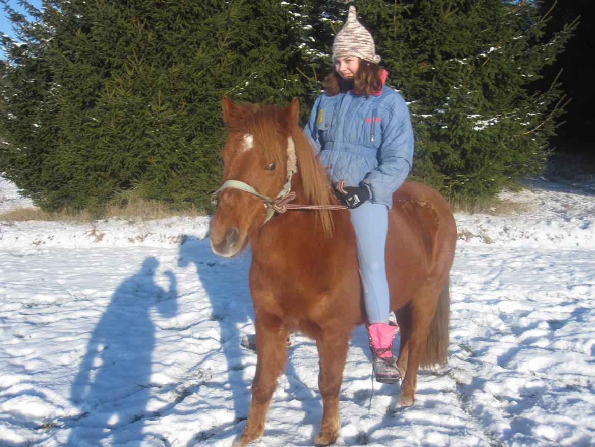 Anden særlig race Molly (SOLGT) <3 - Vi er bedst når vi er to, så ved jeg alting nok skal gå<3 billede 8
