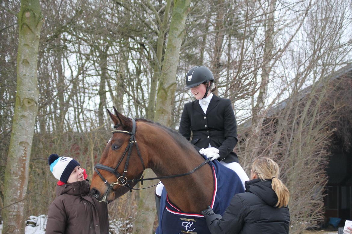 Dansk Varmblod Ruder Es Havdal - 16.02.2013 super stævne med søde Rikke og Mie :) billede 22