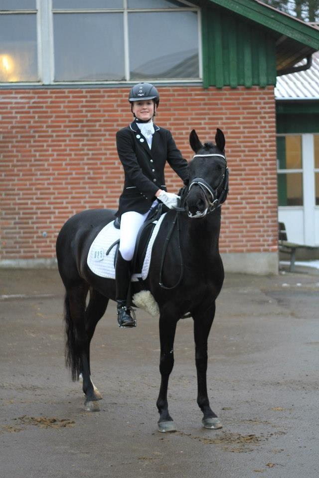 Tysk Sportspony Westendorf Harmonie *B-Pony* - Velkommen til Harmonies profil! :-)
 billede 1