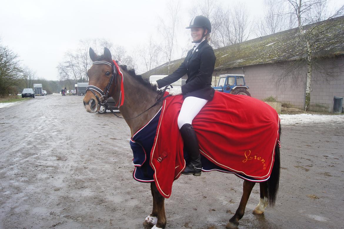 Tysk Sportspony Lienes - 1.plads i LB3 billede 19