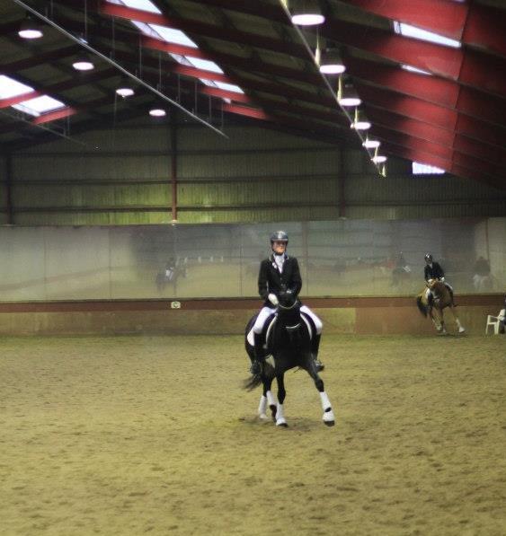 Tysk Sportspony Westendorf Harmonie *B-Pony* billede 10