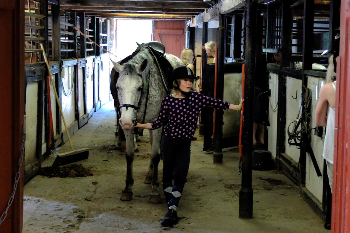 Appaloosa Opalia<3 *Savnet og elsket* billede 16