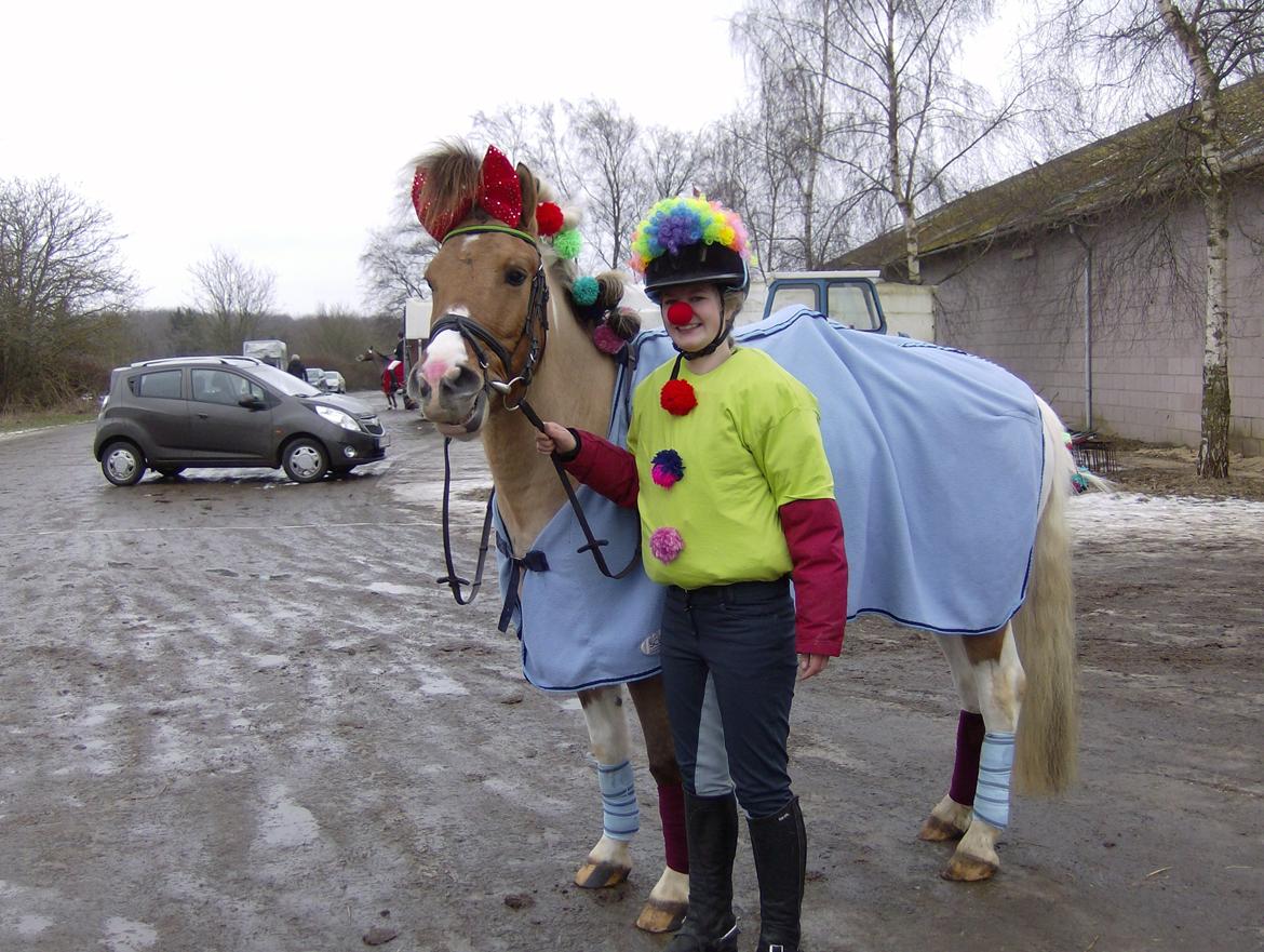 Anden særlig race Charming *Tidl. Part* - Til fastelavnsstævne! billede 3