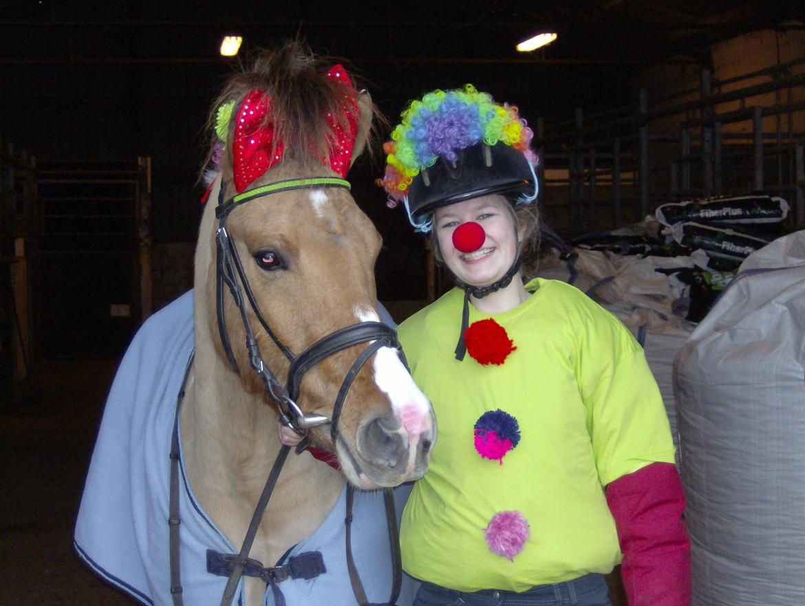 Anden særlig race Charming *Tidl. Part* billede 4