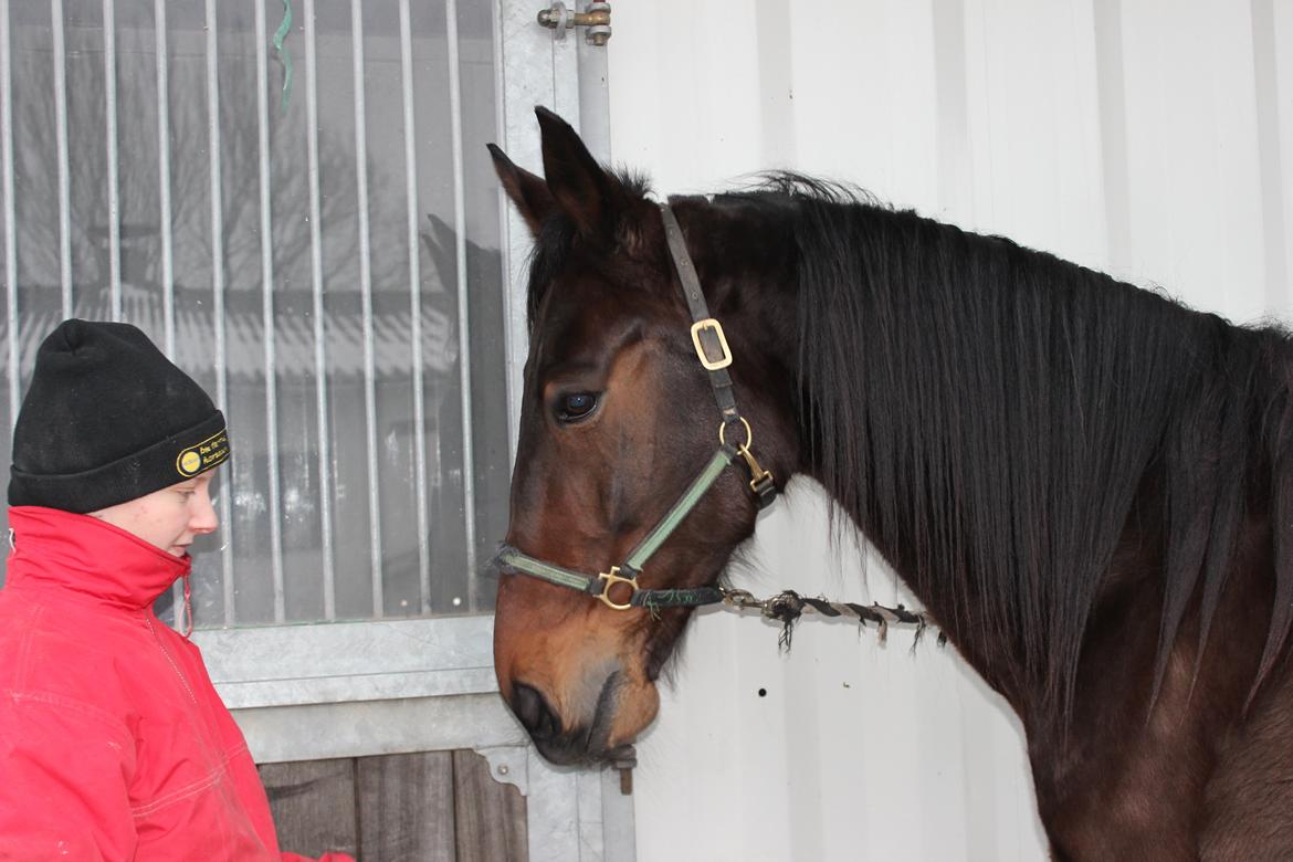 Traver Odin Toft billede 5