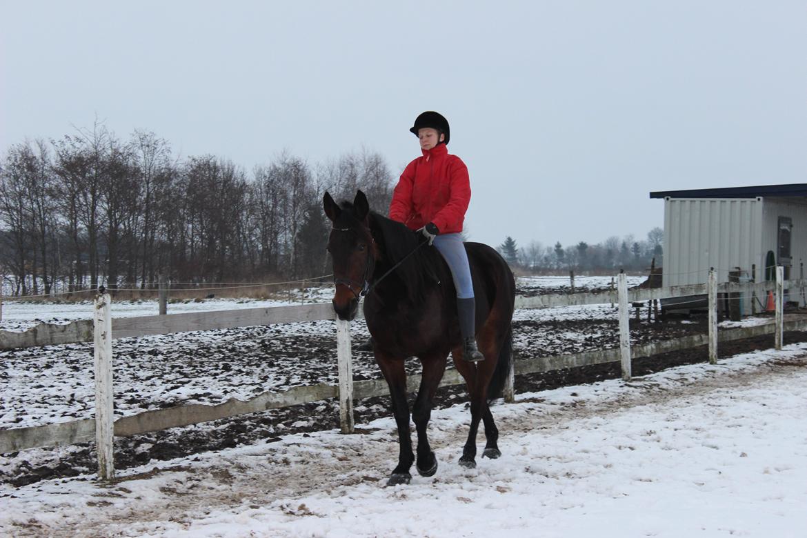 Traver Odin Toft billede 12