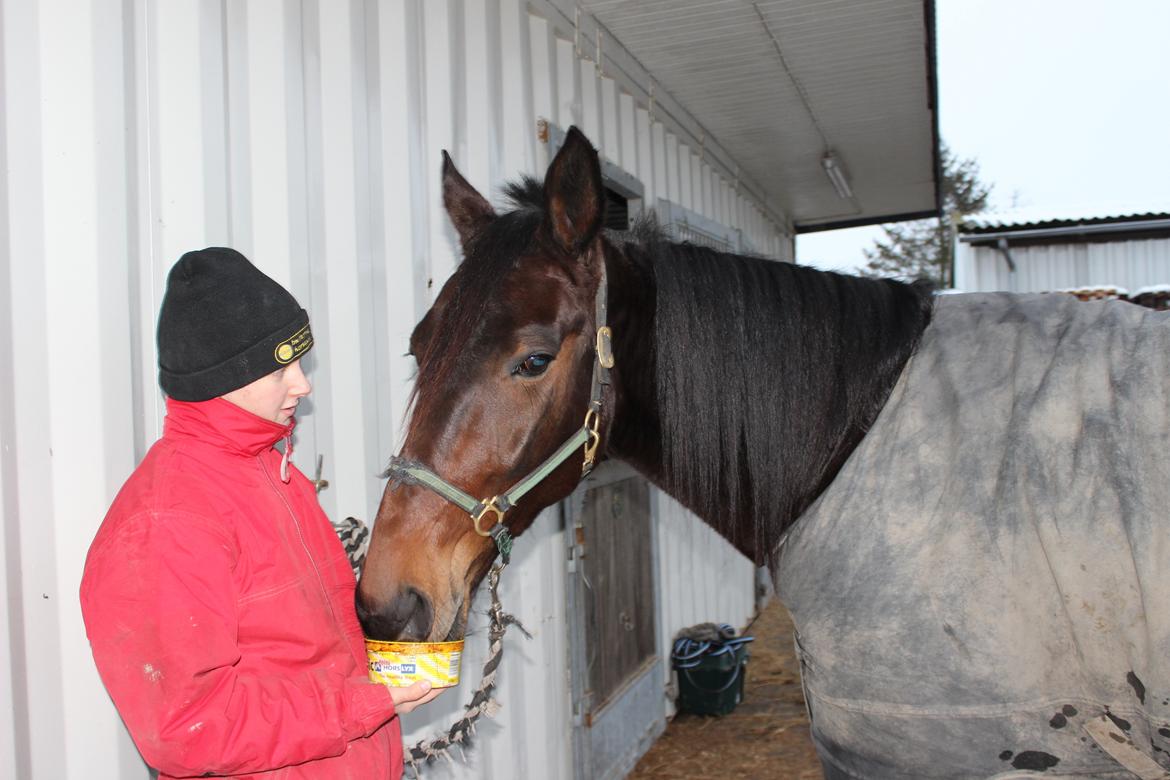 Traver Odin Toft billede 18