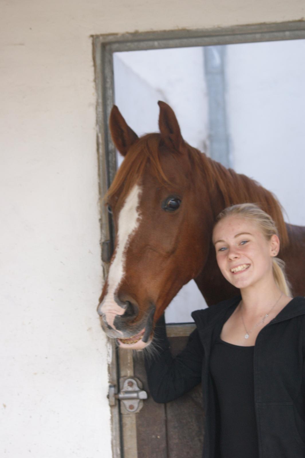 Anden særlig race Fox Trot - En af de allerførste dage med Folle. billede 5