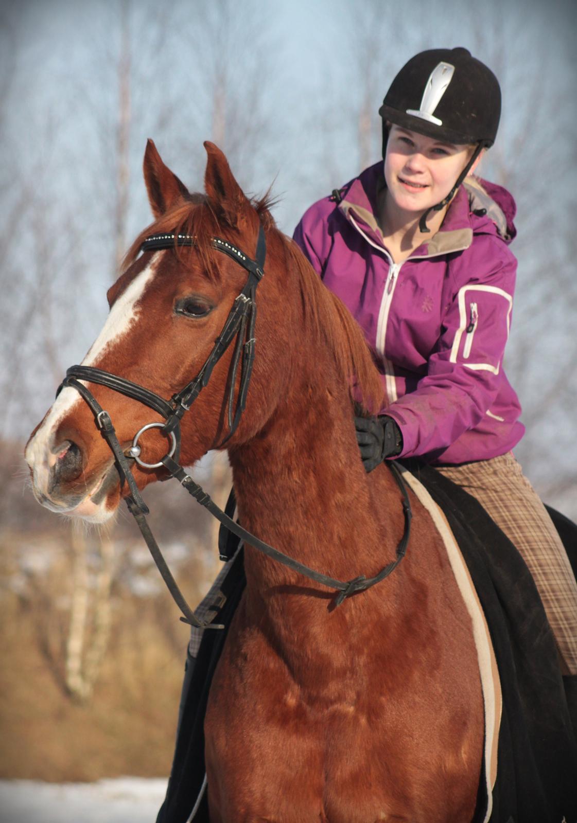 Anden særlig race Fox Trot billede 1