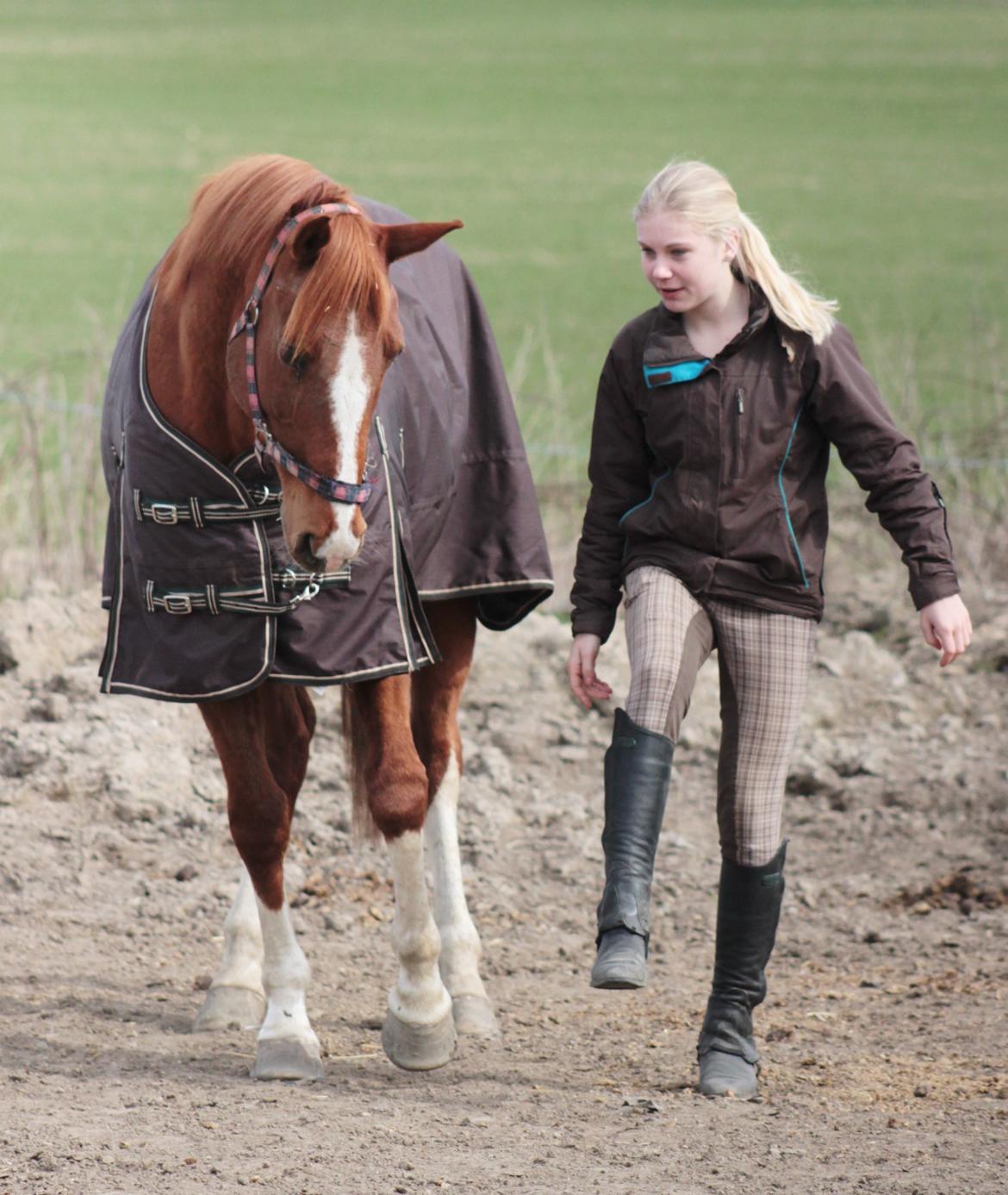 Anden særlig race Fox Trot - Fox der giver pote ;-) billede 14