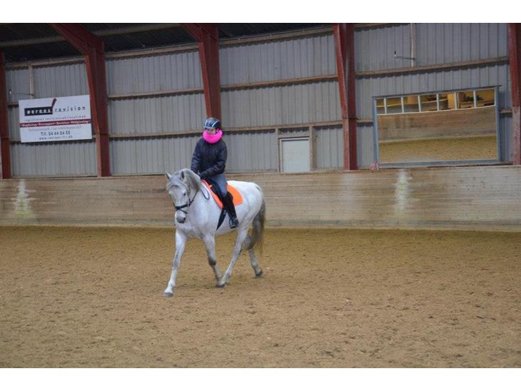 {{currentPhoto.altText}} billede {{currentPhoto.number}}