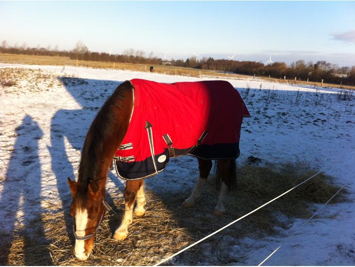 {{currentPhoto.altText}} billede {{currentPhoto.number}}