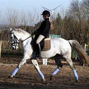 Sportsaraber (A) Mon Cherie <3 <3 SOLGT <3 <3