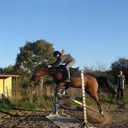 Anden særlig race Flying Mizty | Pansesse<3