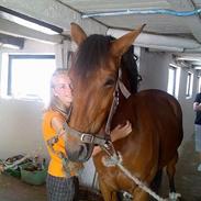 Anden særlig race Flying Mizty | Pansesse<3