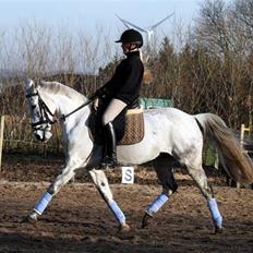 Sportsaraber (A) Mon Cherie <3 <3 SOLGT <3 <3