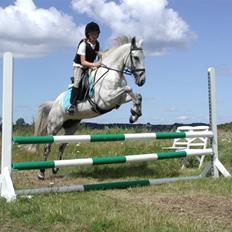 Sportsaraber (A) Mon Cherie <3 <3 SOLGT <3 <3