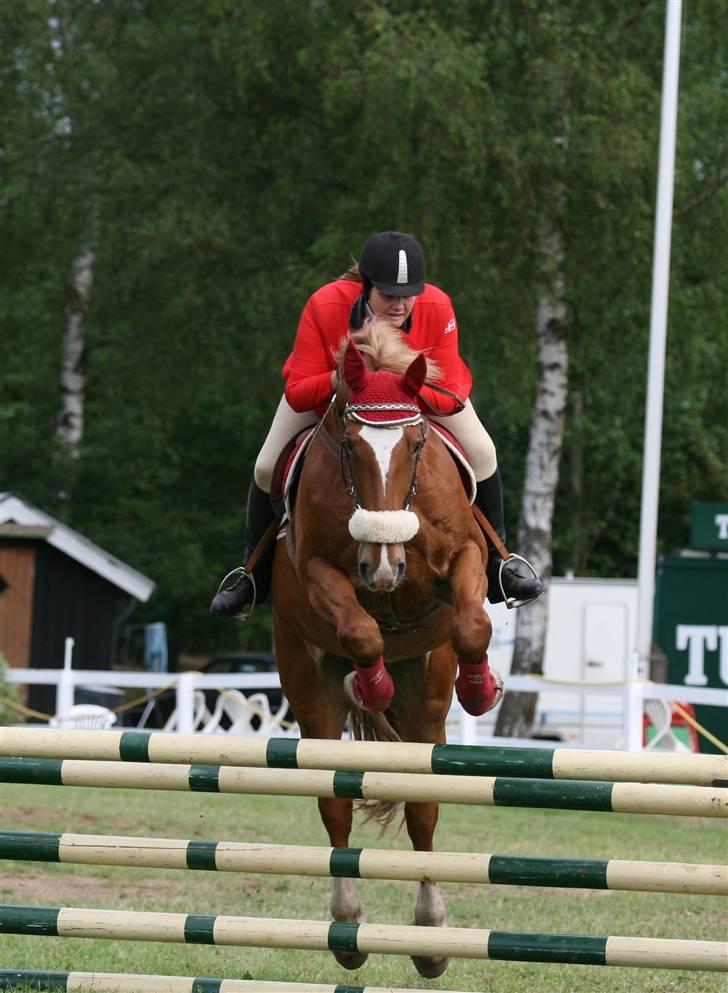 Frederiksborg Apollo af iglsø  - ULB til jydsk rideuge billede 15