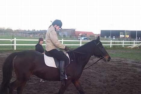 Traver Ginger magnum *'solgt** - ja se lige hvor vi kan    billede 4