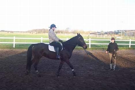 Traver Ginger magnum *'solgt** - jaja se hvordan jeg bare kan  billede 5