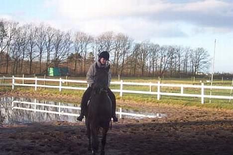 Traver Ginger magnum *'solgt** - se hvor vi kan  billede 7