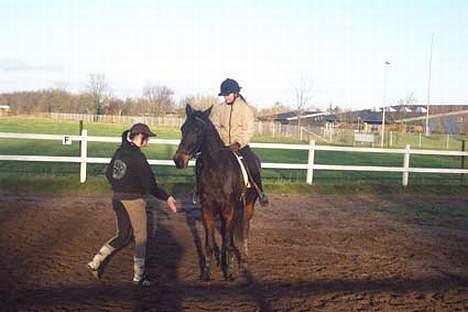 Traver Ginger magnum *'solgt** -  jeg vil  ikke bakke hihi  billede 8