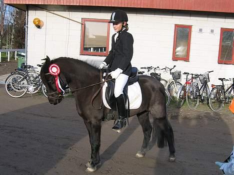 Anden særlig race Triumph  - NYT! Til stævne. Første plads i LB1. billede 18