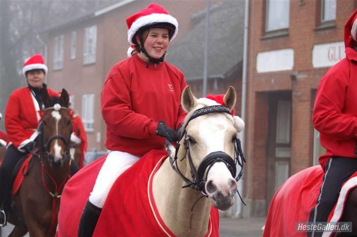 Palomino Spooky ( lånt ud ) billede 1