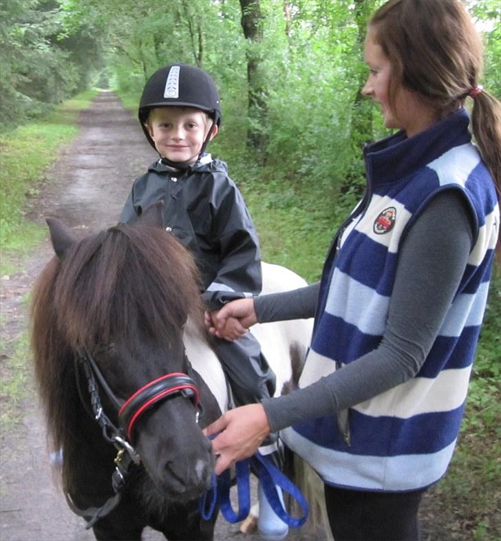 Shetlænder Haaber's  Jolly Jumper - Victor og Jolly juli 2010 billede 15