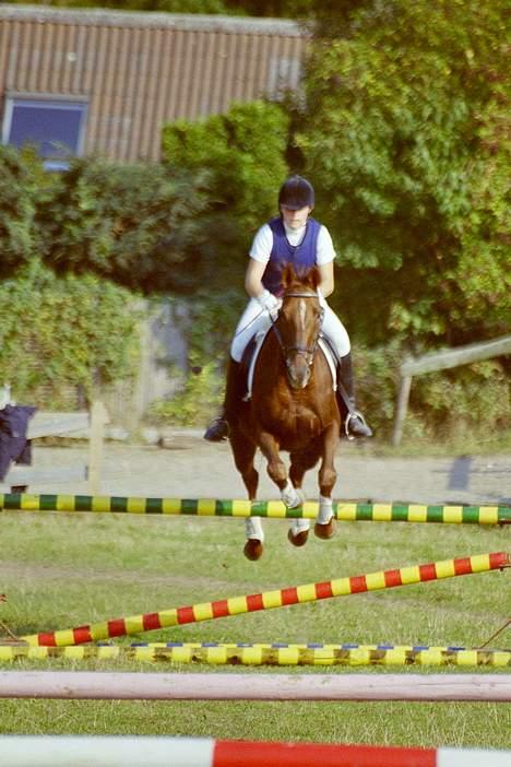 Fuldblod (XX) Ladyline xx R I P - Lady til springstævne september 2005 billede 1