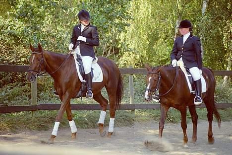 Fuldblod (XX) Ladyline xx R I P - Lady & Bounty. Begge i hestehimlen nu! billede 9