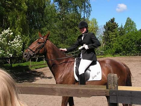 Fuldblod (XX) Ladyline xx R I P - Lady til præmieoverrækkelse, med fine krøller!! billede 14