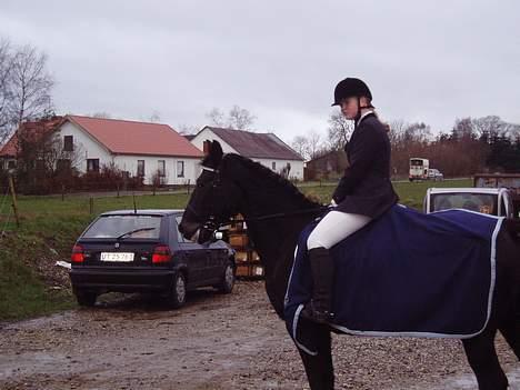 Oldenborg Saloma (DØD) billede 2