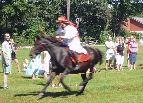 Oldenborg Saloma (DØD) billede 4