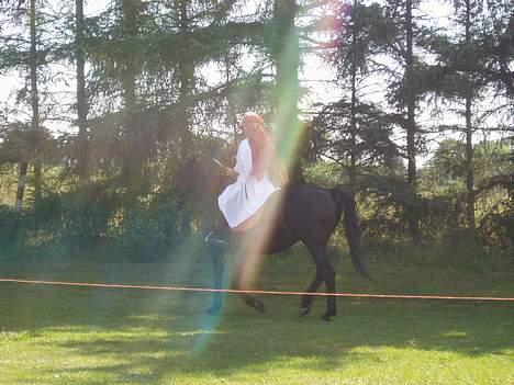 Oldenborg Saloma (DØD) billede 6