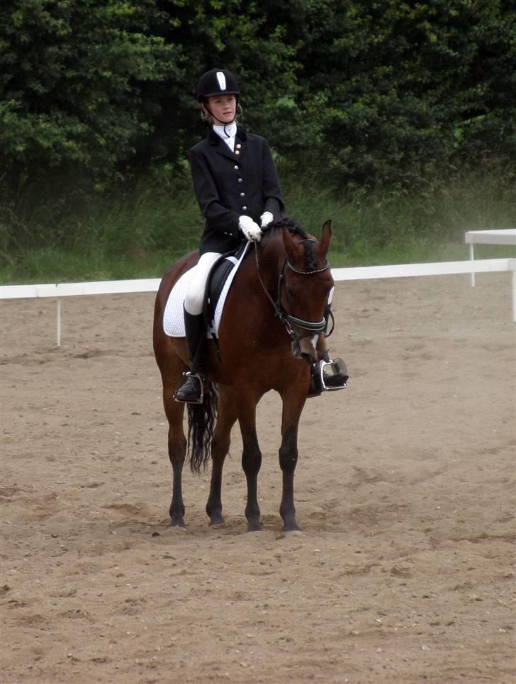 Anden særlig race Lucky  - Lucky og mig,  en super god parade<3 ,men han er jo os den bedste. heh billede 6