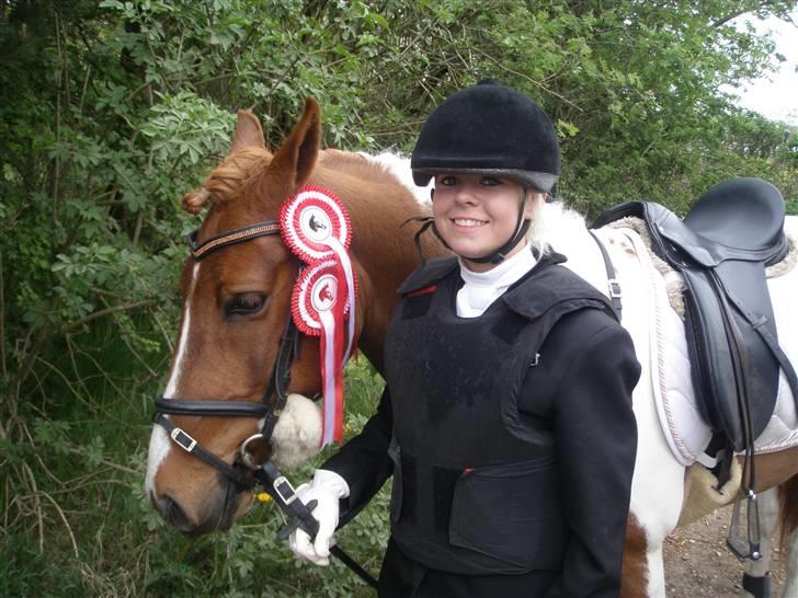 Pinto BamBino - # 3 NYT - Dagens høst xD billede 3