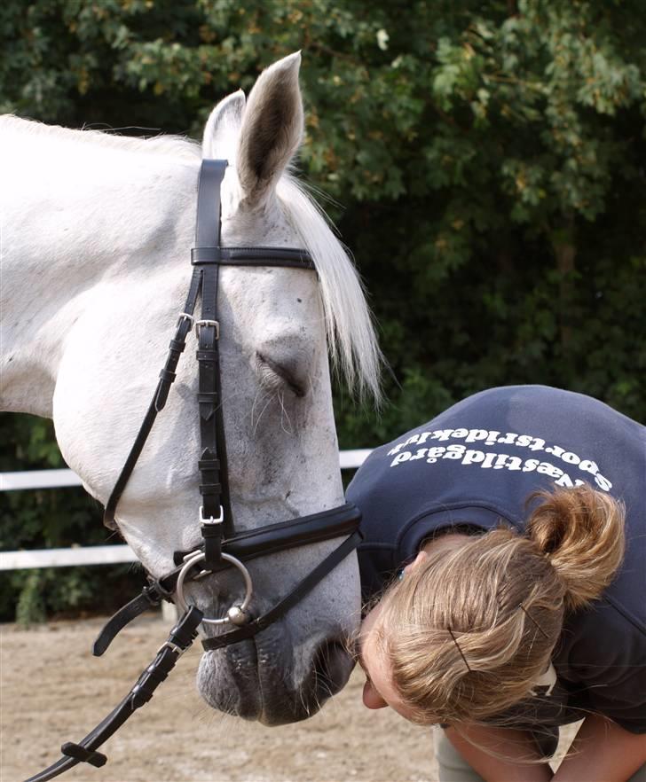 Anden særlig race ..Kasmir (Kasse) - Velkommen til Kasses profil..  billede 1