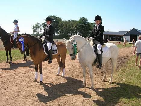 Welsh Pony (sec B) Bjerregårds Montbars(RIP) - Individuelle distriks mesterskab 11/ 13 billede 9