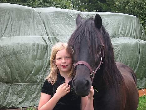 Welsh Cob (sec D) Dorthealyst Black Jack  + - mig og ivan billede 4