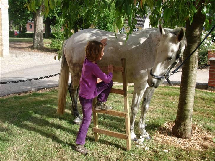 Sportsaraber (A) Mon Cherie <3 <3 SOLGT <3 <3 - Mon og søde Michella (-: billede 5