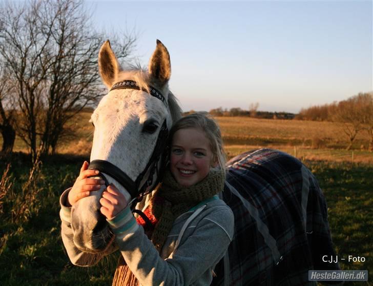 Sportsaraber (A) Mon Cherie <3 <3 SOLGT <3 <3 - elsker dig smukke   CJJ foto billede 6