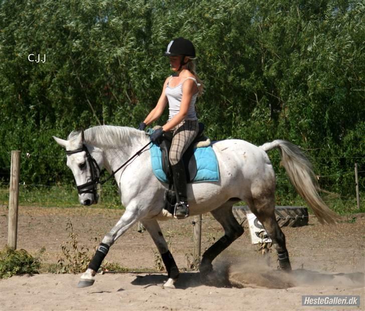 Sportsaraber (A) Mon Cherie <3 <3 SOLGT <3 <3 - elsker dig forever billede 7