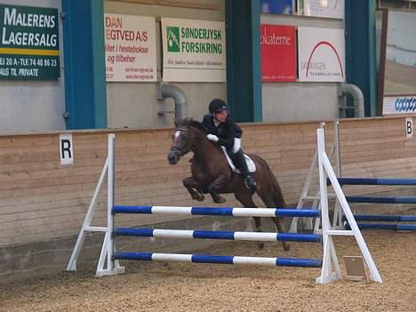 New Forest Sika - La , på SØR :b ,.-taqet af Lena Elsborq<3 :D billede 9