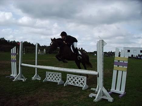 New Forest Sika - sidste stævne på herliqheden :´(  billede 11