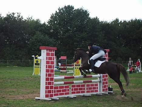 New Forest Sika - sidste stævne på herliqheden :´(  billede 13