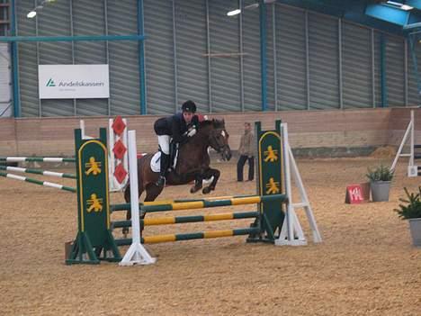 New Forest Sika - La på SØR :b <3 ,.-taqet af Lena Elsborq :D <3 billede 15