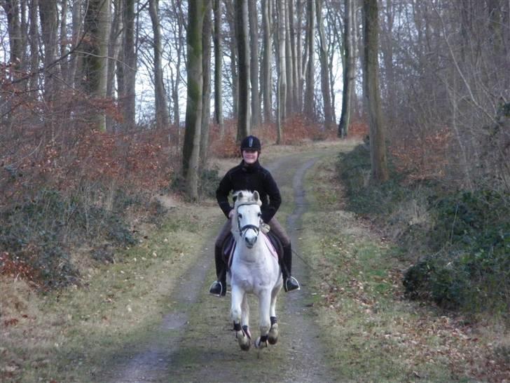 Anden særlig race Bonnie <3 - Velkommen til Bonnie s profil :) fuld galop! :D  elsker dig ;* billede 1